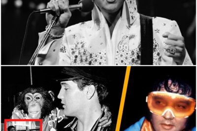 Top 10 DARK Secrets Elvis Didn’t Want You To Know | What Was Found in Elvis’ Blood?