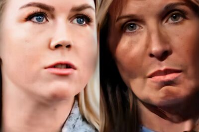 LIVE TV EXPLOSION: Nicolle Wallace LOSES CONTROL After Karoline Leavitt’s Blunt Retort—Audience in SHOCK as MSNBC Host ERUPTS in On-Air Rant! The Unexpected Response That Triggered Chaos and Sent Viewers Into a Frenzy—Is This the Most Unhinged Moment Yet?