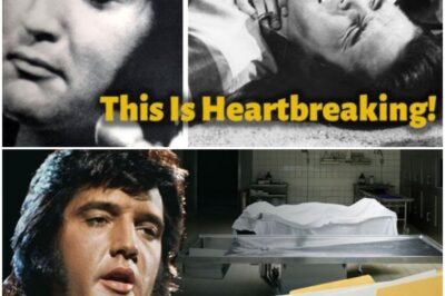 FINAL HOURS EXPOSED: Inside Elvis Presley’s Haunting Last 24 Hours—The Disturbing Details That His Inner Circle Tried Desperately to Hide Are Finally Coming to Light, Leaving Fans Shocked and Heartbroken!