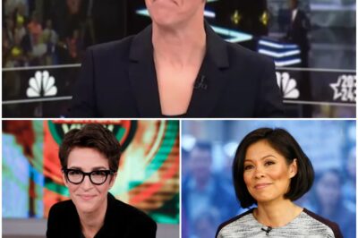 Rachel Maddow EXPLODES with Jealousy—Did She Just Take a Major Shot at Her MSNBC Successor?
