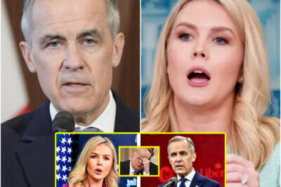 Trump’s Canada Meltdown: How One Phone Call Exposed America’s Broken Power Game — And Sparked Canada’s Fierce Breakaway From U.S. Control