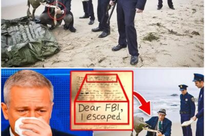 SHOCKING DISCOVERY AFTER 55 YEARS: Legendary Alcatraz Prison Break Finally Solved—Investigators Reveal Explosive New Evidence About the Infamous Escape That Rocked America, Uncovering Secret Details the FBI Desperately Tried to Hide Until Now!