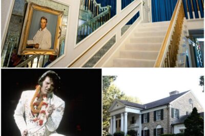Elvis Presley’s Graceland unseen: Inside the huge attic and what the King kept in his roof