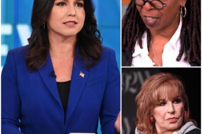 TOTAL CHAOS ON ‘THE VIEW’: Tulsi Gabbard UNLEASHES BRUTAL TRUTH, Whoopi Goldberg Left SPEECHLESS & Joy Behar STORMS OFF SET After Humiliating On-Air Clash—The Shocking Moment That Has America Talking NON-STOP!