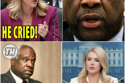 “TREASON?” Judge PUBLICLY Accuses Karoline Leavitt of Betraying America — Then QUITS Courtroom in Utter Shame Just 9 Minutes Later! America Stunned by Shocking Courtroom Meltdown