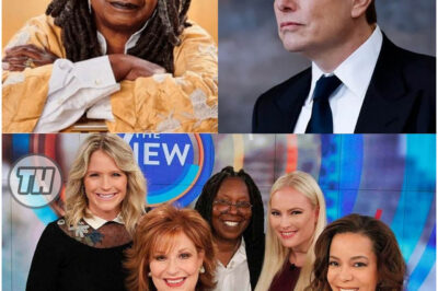 Elon Musk called for a boycott of The View, calling it “a meeting place for ignorant women.” Immediately after, the entire cast responded fiercely