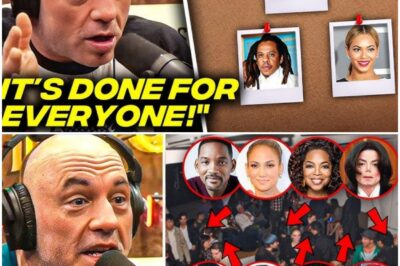 Joe Rogan REVEALS List Of Celebs That Will GO DOWN With Diddy