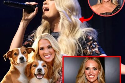 Carrie Underwood ignites the web with a shocking announcement: he will invest 20 million dollars to build a ‘paradise’ dedicated to rescuing stray dogs, promising love and a home to thousands of abandoned puppies. (N)
