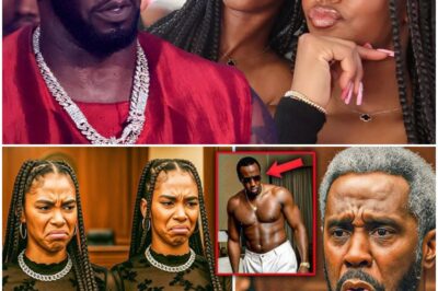 DIDDY’S TWIN DAUGHTERS BREAK DOWN IN COURT—WHAT HORRIFYING REVELATION SHATTERED THEIR WORLD AND LEFT THEM FIGHTING TO HOLD IT TOGETHER?