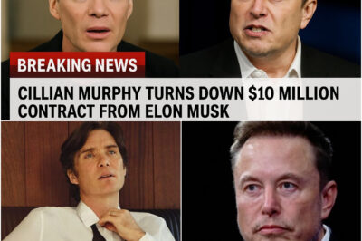 Breaking news: Cillian Murphy just shocked the world when he turned down a $10 million contract from Elon Musk and Elon Musk’s unexpected reaction “You will pay for turning it down”