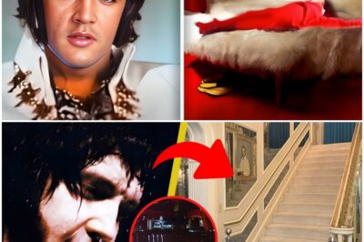 Disturbing Reason NOBODY Goes Upstairs in Elvis’ Graceland: Why is 2nd Floor of Graceland Locked?