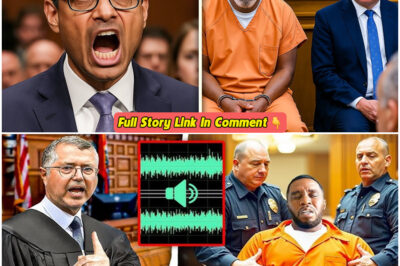 Judge Snaps at Diddy’s Lawyer for Explosive Outburst – ‘Sit Down or Get Out!’