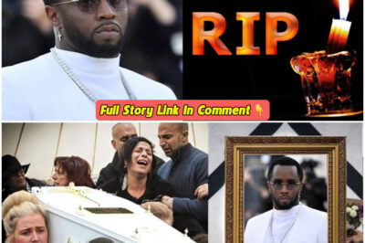 R.I.P: Rapper Diddy Passes Away at 54, Goodbye and Rest in Peace