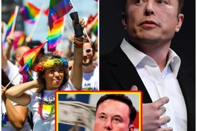 Elon Musk Invests $200 Million in a $2 Billion Sponsorship Chain and Declares: “I Don’t Want to See That Flag in the United States”