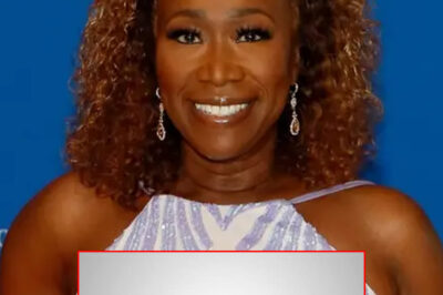 MSNBC Fires Joy Reid: ‘Your Endorsement is Damaging Our Network Ratings’