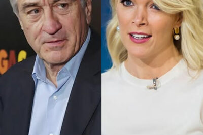BREAKING: Megyn Kelly Blasts Robert De Niro, Calls Him “Extremely Stupid” in Explosive Hollywood Feud