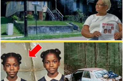 MYSTERY REVEALED: Twin sisters disappear without a trace in 2004—20 years later, a knock on the door reveals only one has returned, bringing with him a chilling secret that leaves investigators speechless