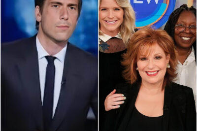 ABC CEO makes a decisive decision: It’s time to cancel “The View”, the worst TV show in history