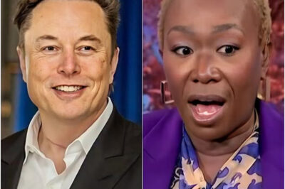 Elon Musk confirms he will spend a massive amount to acquire MSNBC, vows to fire Joy Reid to “end the toxicity”