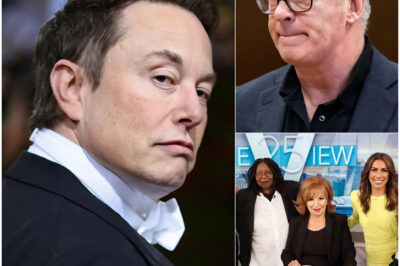 Elon Musk Buys ABC Company for $790 Million and Cancels “The View” After Alec Baldwin Called Him an “Idiot” on the Show.