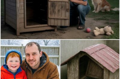 Boy Vanished While Playing Outside, 8 Years Later Dad Looks Under Neighbor’s Dog Kennel…