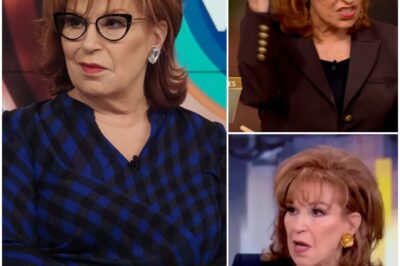 Listen to ‘The View’ Crowd Gasp as Joy Behar Accidentally Reveals How Stupid She Is