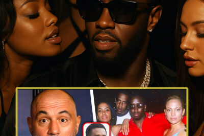BREAKING: Diddy’s infamous freakoff parties exposed! The list of alleged “high-class call girls” involved has surfaced, revealing a complex network that’s more like a mafia thriller than a consensual adult affair. Is this the dark side of Hollywood’s elite?