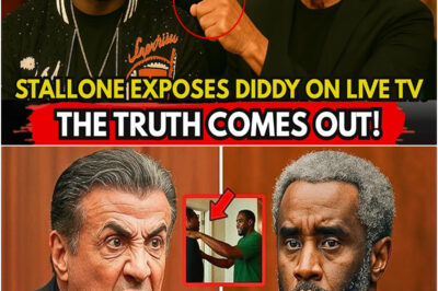 1 MINUTE AGO: Sylvester Stallone BREAKS SILENCE — Exposes Diddy & Clive Davis in ‘Freak Off’ SCANDAL!