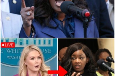 In a Stunning Showdown, Karoline Leavitt Delivers a Devastating Blow to Jasmine Crockett That Left Everyone Speechless!