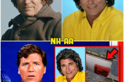 After Years of Hiding, Michael Landon’s Mysterious Cabin Has Finally Been Unlocked—The Discoveries Inside Shock Even His Closest Friends, And The Truth Behind It May Change How We View His Legacy!