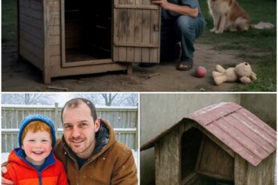 The Boy Who Disappeared Without a Trace, The Disappearance That Shocked the Town—8 Years Later, a Creepy Discovery Under the Neighbor’s Dog Cage Brings the Truth to Light!