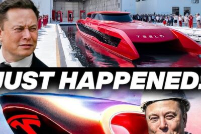 Elon Musk’s First Tesla Electric Yacht Is Set to CHANGE the World 