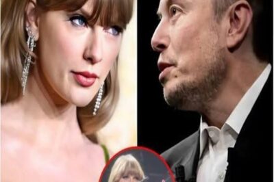 Taylor Swift Steps Back: The Real Story Behind Her Surprise Career Hiatus