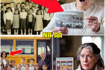 27 Years Ago an Entire Class Vanished, Until a Desperate Mother Noticed a Crucial Detail…