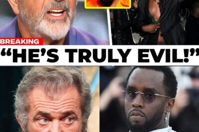 Mel Gibson EXPOSES Diddy In Court After REVEALING Hollywood Secrets….
