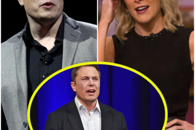 EXPLOSIVE REVEAL: Megyn Kelly DROPS A BOMBSHELL On-Air—Elon Musk’s SHOCKING Secret Exposed!