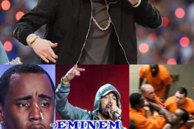 Eminem Diss Track Titled “Party’s Over,” Targeting Fellow Hip-Hop Mogul Sean “Diddy” Combs