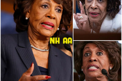 ‘I’ve Had Enough!’: Maxine Waters Erupts and POUNDS the Desk in a Wild House Meeting—You Won’t Believe What Set Her Off!
