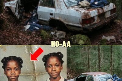 Black Twin Sisters Vanished in 2004 — 20 Years Later, Only One Came Back
