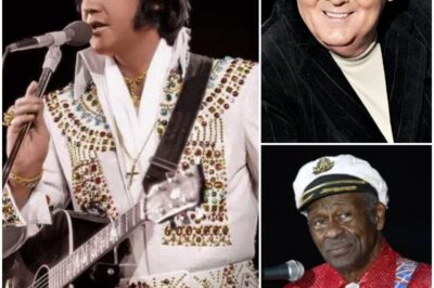 After decades of speculation, we reveal the seven musicians Elvis Presley secretly HATED—and the explosive reasons why.