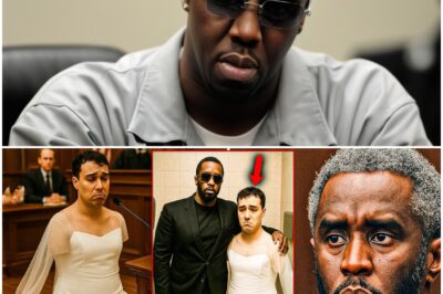 SHOCK IN COURTROOM: Diddy’s Secret “Nugget” Steps Forward with Bombshell Testimony on Day 14 of Explosive Trial—What He Revealed Has Everyone Speechless!