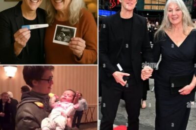 Rachel Maddow announces her next step in emotional plan to have child at 50