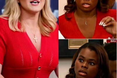 BREAKING: Karoline Leavitt Shuts Down Reporter Over L.A RI0T Lies—And What She Said Left the Room in Sh0ck jiji