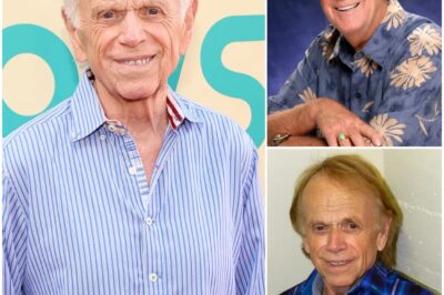 SHOCKING REVEAL: Al Jardine Breaks Silence on Brian Wilson’s Final Days—The Untold Truth Behind the Beach Boys’ Tragic Farewell