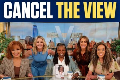 Why ABC Should Cancel The View: The Worst Show on Television