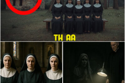 “Four Village Nuns Vanished in 1980 — 28 Years Later the Priest Finds THIS Behind the Chapel…