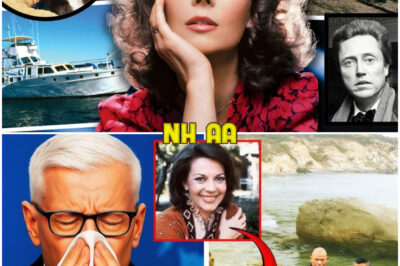 After Decades of Scandal, Cover-Ups, and Unanswered Questions, The Truth About Natalie Wood’s Mysterious Death Has Finally Been Exposed—What Investigators Just Revealed Will Leave You Speechless!