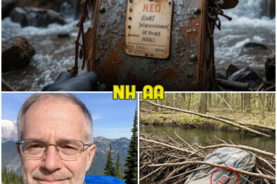 Retired Doctor Vanished from Mount Rainier, 4 Years Later They Find This in a Beaver Dam…