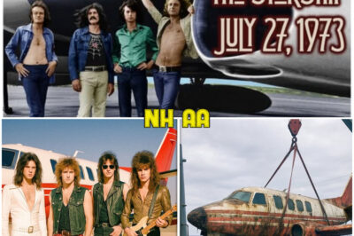Young Rock Band Vanished in 1981 on Private Jet, 19 Years Later Navy Pulls This From Ocean…