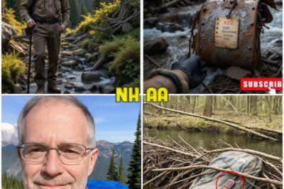 Retired Doctor Vanished from Mount Rainier, 4 Years Later They Find This in a Beaver Dam…